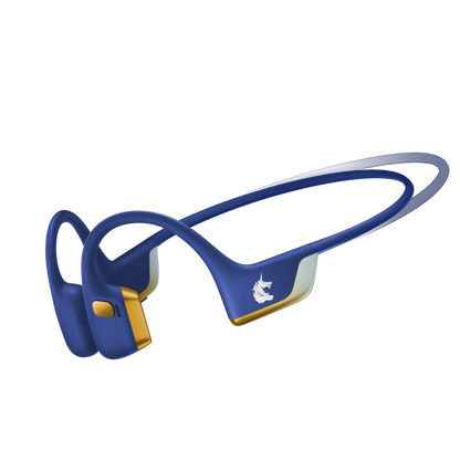 OpenRun Pro 2