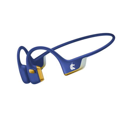 OpenRun Pro 2